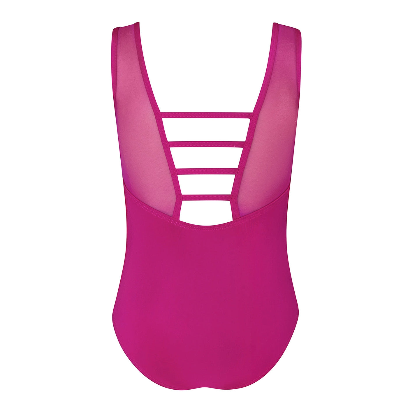 Lisa Mesh Leotard (CL22)
