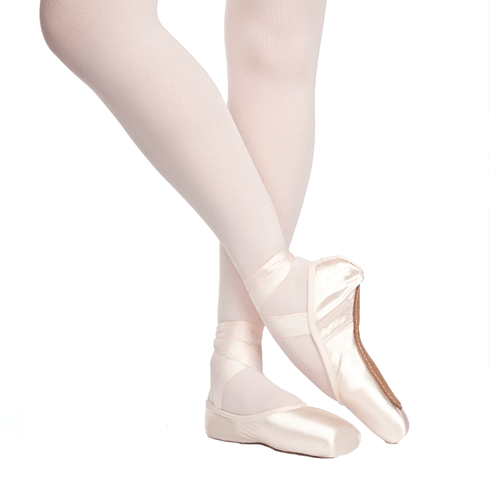 Rubin Draw Pointe Shoe